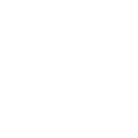 AMICI